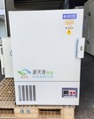 待售：低溫恆溫培養箱 DBL-60 ㉒